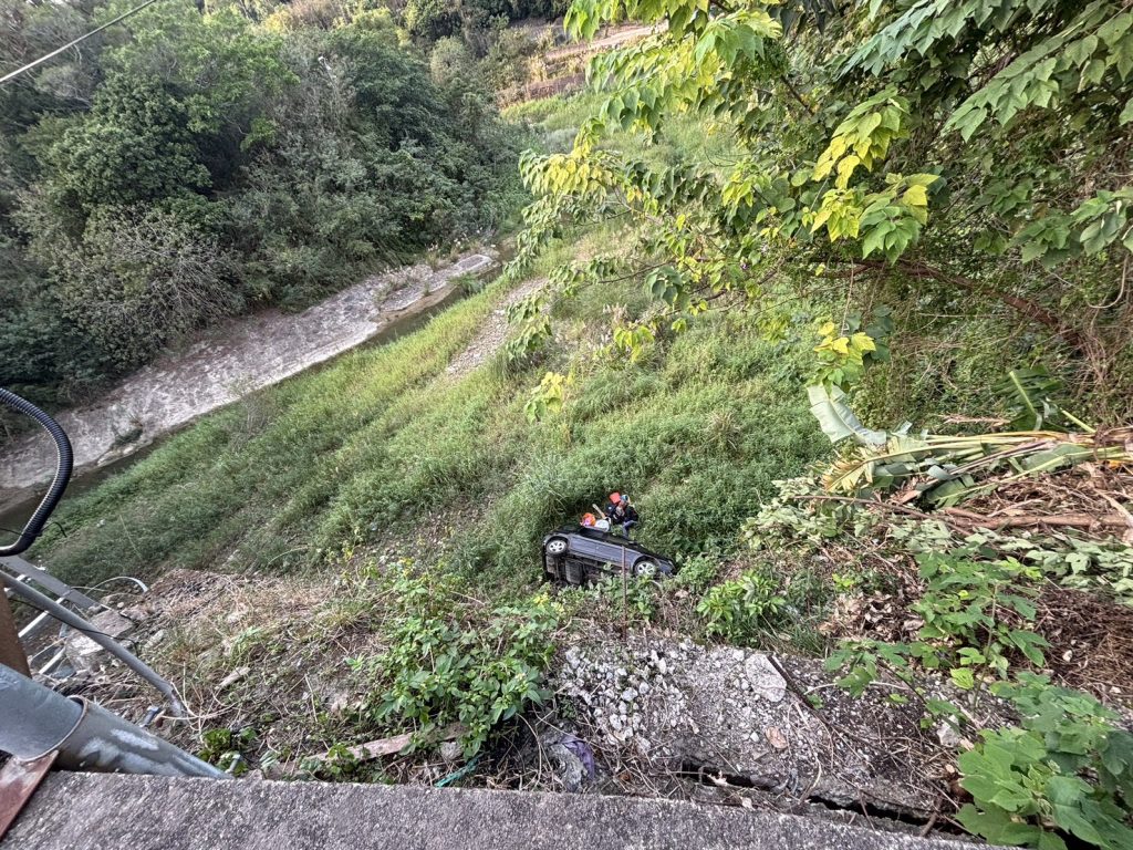 S__476700743 - 報新聞 Mega News